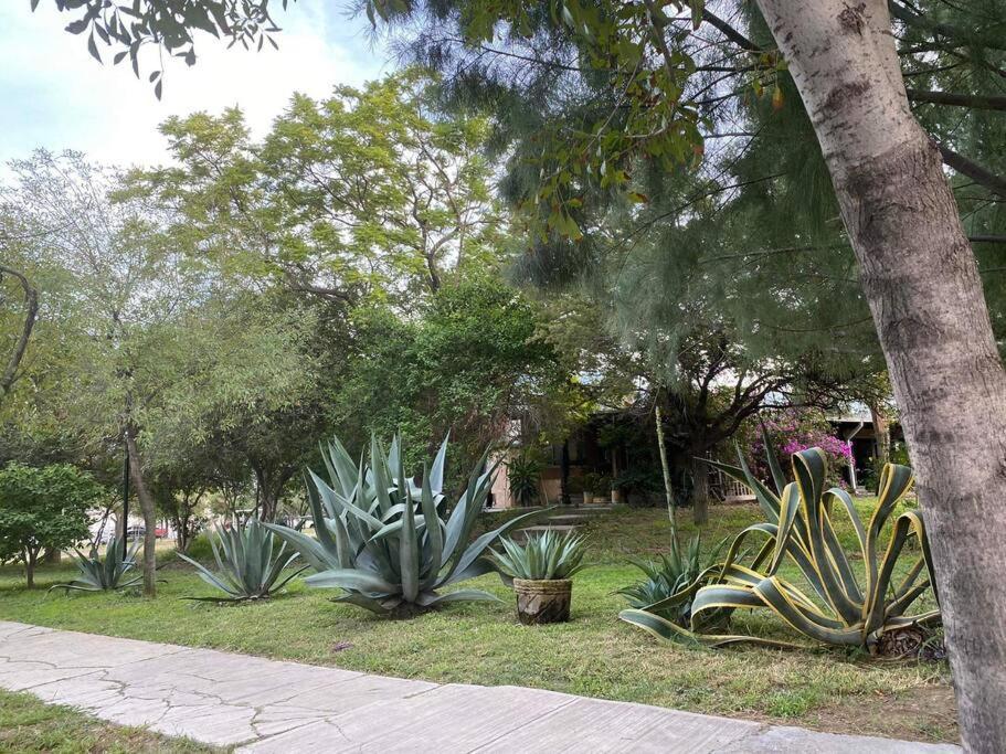 Apartmán Bonito Depto Equipado Cocina Cerca Consulado Eu Monterrey Exteriér fotografie